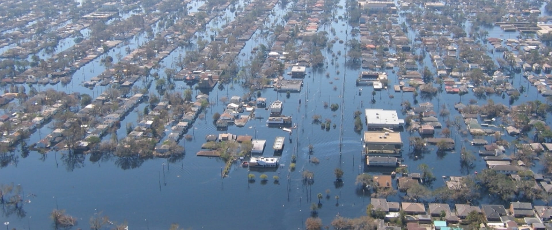 The Impact of Water Pollution in Cities